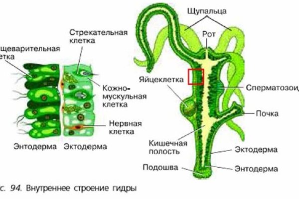 Ссылка кракен cc